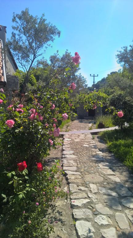 Caretta Villa Ortaca Dış mekan fotoğraf